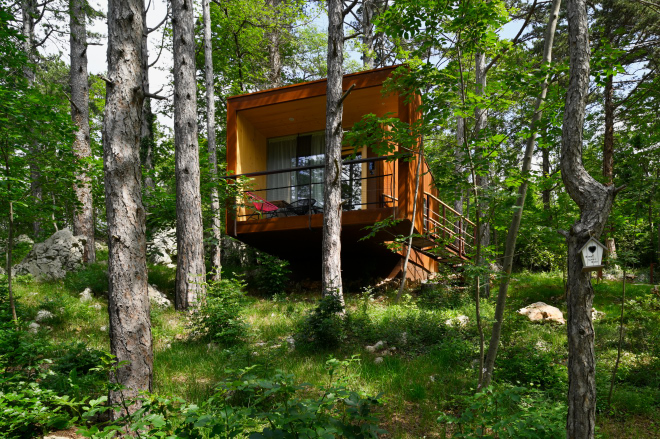 Forest Village Theodosius, Vipava