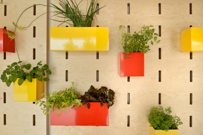 Pedenjped Kindergarten, Ljubljana